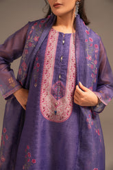 3 Piece Net Embroidered Suit (FS0048)
